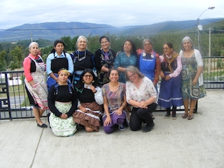 Taller de plantas medicinales