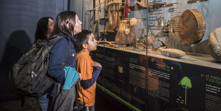 Museo de Historia Natural de Concepción