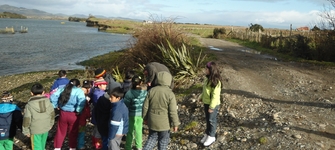 Visita a sitio arqueológico Puente Quilo, comuna de Ancud
