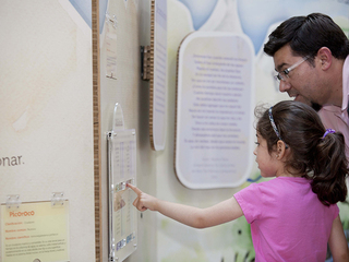 Gratuidad en Museos DIBAM