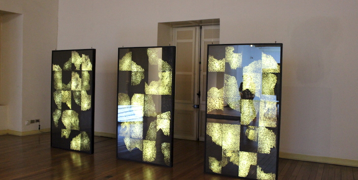 Diurna, de Magdalena Prado