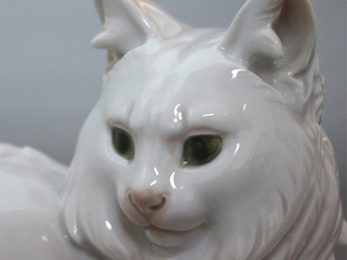 El gato en la colección del MAD