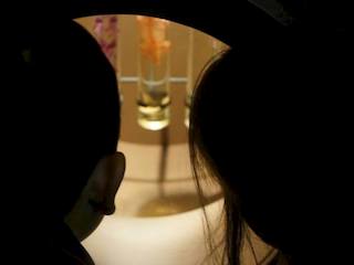 Elecciones Primarias