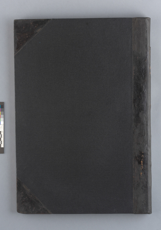 Tapa posterior frontal después del tratamiento