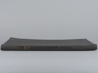 Lomo escorzo después del tratamiento