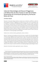 Colección Paleontológica del Museo O'Higginiano y de Bellas Artes de Talca: Puesta en valor de los fósiles provenientes de la formación Quiriquina y formación Baños del Flaco