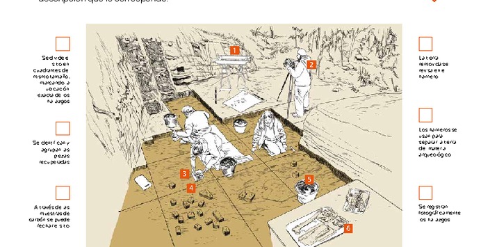 Excavación arqueológica