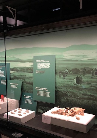 Premontaje nueva exhibición permanente MALS