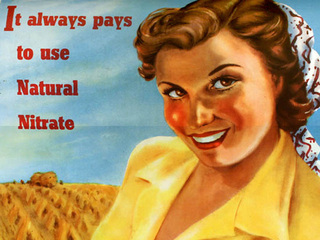 Iconografía del salitre en el Reino Unido