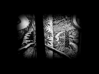 Sueño (bosque) húmedo