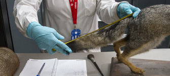 FMIM convocatoria 2019