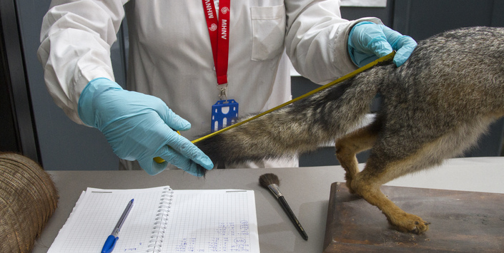 FMIM convocatoria 2019