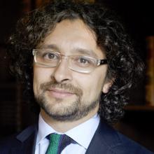 Imagen de Representante del Consejo de Defensa del Estado