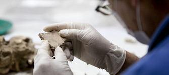 En la primera convocatoria FMIM 2018, seis proyectos se adjudicaron recursos para la puesta en valor de colecciones.