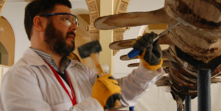 Desmontaje de vértebras