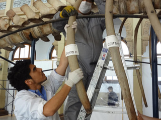 Desmontaje de vértebras 2