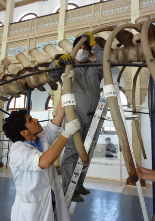 Desmontaje de vértebras 2