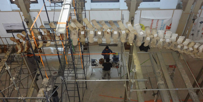 Operación Ballena 33