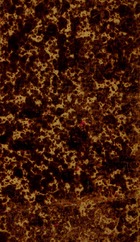 La instrucción primaria obligatoria ante el Senado. 1903. 289 pp.