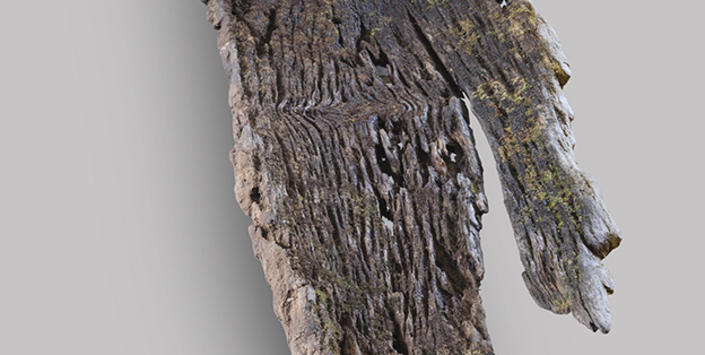 Canoa monóxila (vista 2)