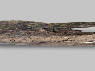 Canoa monóxila (vista 3)