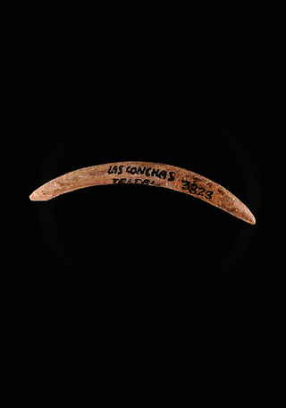 Barba de anzuelo de hueso, Norte Grande