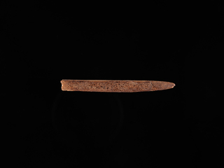 Barba de anzuelo de hueso, Norte Grande