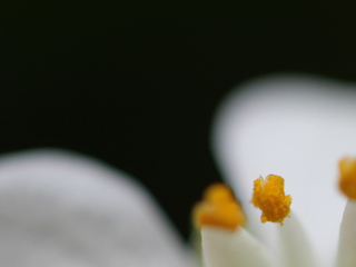 Fotografía para jóvenes