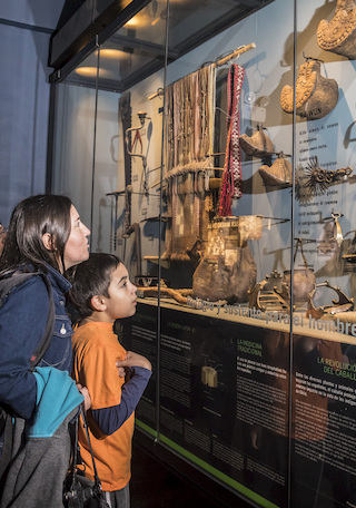 Museo de Historia Natural de Concepción