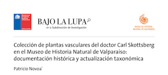 Colección de plantas vasculares del doctor Carl Skottsberg en el Museo de Historia Natural de Valparaíso: documentación histórica y actualización taxonómica