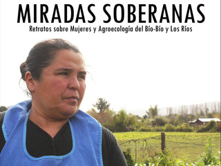 Muestra fotográfica