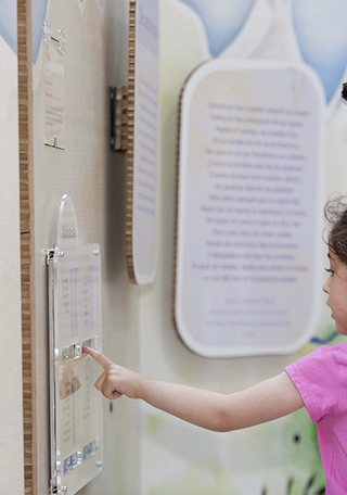 Gratuidad en Museos DIBAM