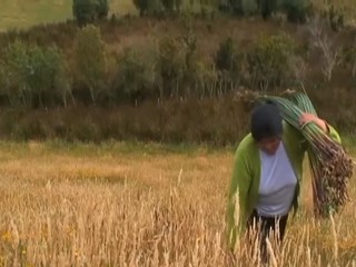 Adelina Soto cargando cunquillo luego de haberlo recolectado.