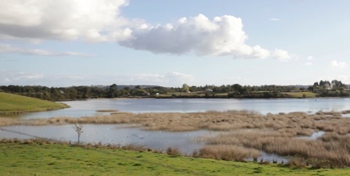 El cuidado de los humedales está asociado a la continuidad de la cestería, ya que en estos ecosistemas crecen las juncáceas que son recolectadas para uso artesanal.