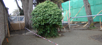 Trabajos en parque del museo.