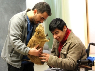 Programa de inclusión educativa