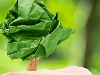 ¿Te animas a compartir tu conciencia verde?