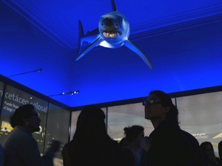 Nueva versión de la Noche de Museos Red ViVa