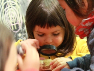 Eco relatos con sentido