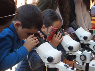 Día del Patrimonio en Museo Regional de Atacama