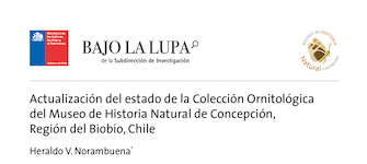 Actualización del estado de la Colección Ornitológica del Museo de Historia Natural de Concepción, Región del Biobío, Chile