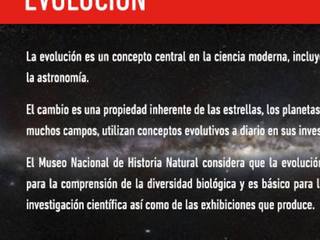 Teoría de la evolución