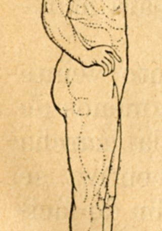 Movimientos de cabeza