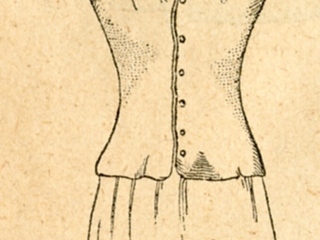 Primer movimiento de brazos, elongación