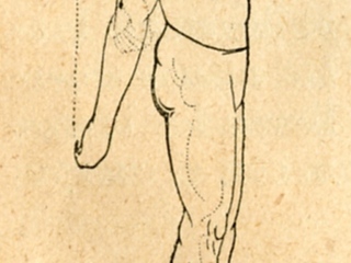 Primer y segundo movimiento de brazos
