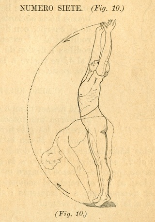 Movimientos de elongación y respiración