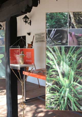 Corredor entrada al Museo