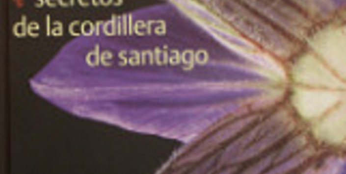 Secretos de la cordillera de Santiago (2004)