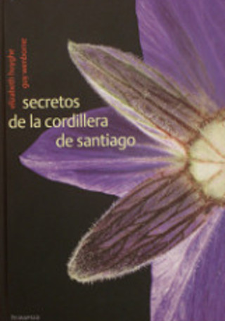 Secretos de la cordillera de Santiago (2004)