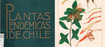 Otto Urban.  Botánica de las plantas endémicas de Chile;